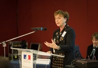 Mme Verena Taylor, Directrice du bureau de la direction générale des programmes au Conseil de l'Europe